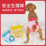 Battermal Physiological Stars