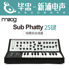 Аналоговый синтезатор