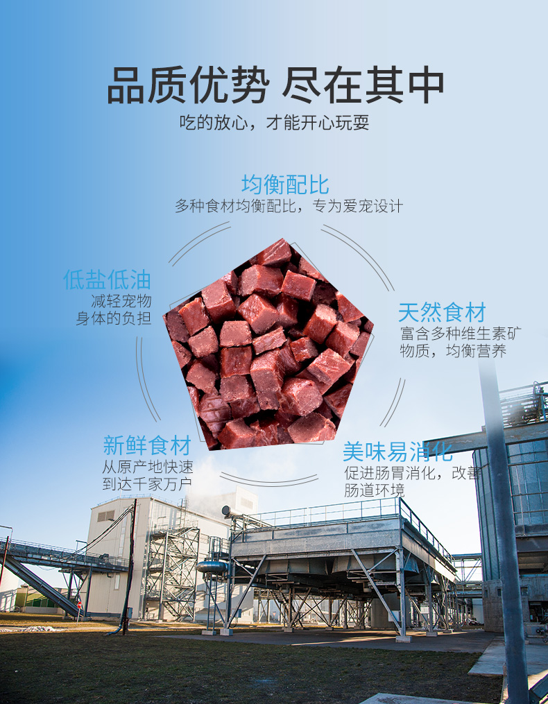 Dog Snacks Dog Beef Grain 500g High Canxi Molar Cleansing Canxi Beef Strips Teddy Golden Hair Phần thưởng đào tạo - Đồ ăn vặt cho chó pate cho chó con