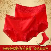 4 ox year born year underwear women cotton big red Middle waist breifs wedding gift box high waist cattle year