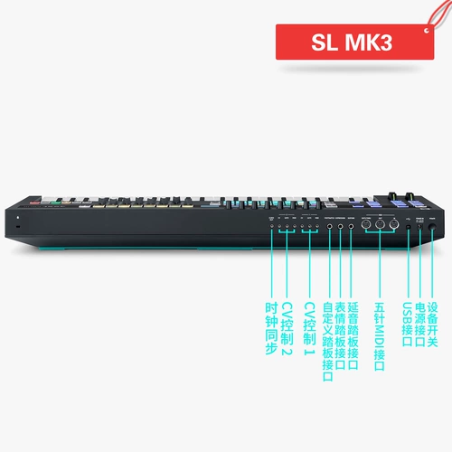 诺维逊 Novation sl mk3 49 61  衾 衾 衾 衾 嗲  刂 鳖          鳖 鳖 鳖 鳖 鳖 鳖 鳖 鳖 鳖