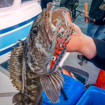 Luminous squid large bait fake bait soft bait simulation fake bait fishing squid water lamp sea bait boat fishing fishing gear