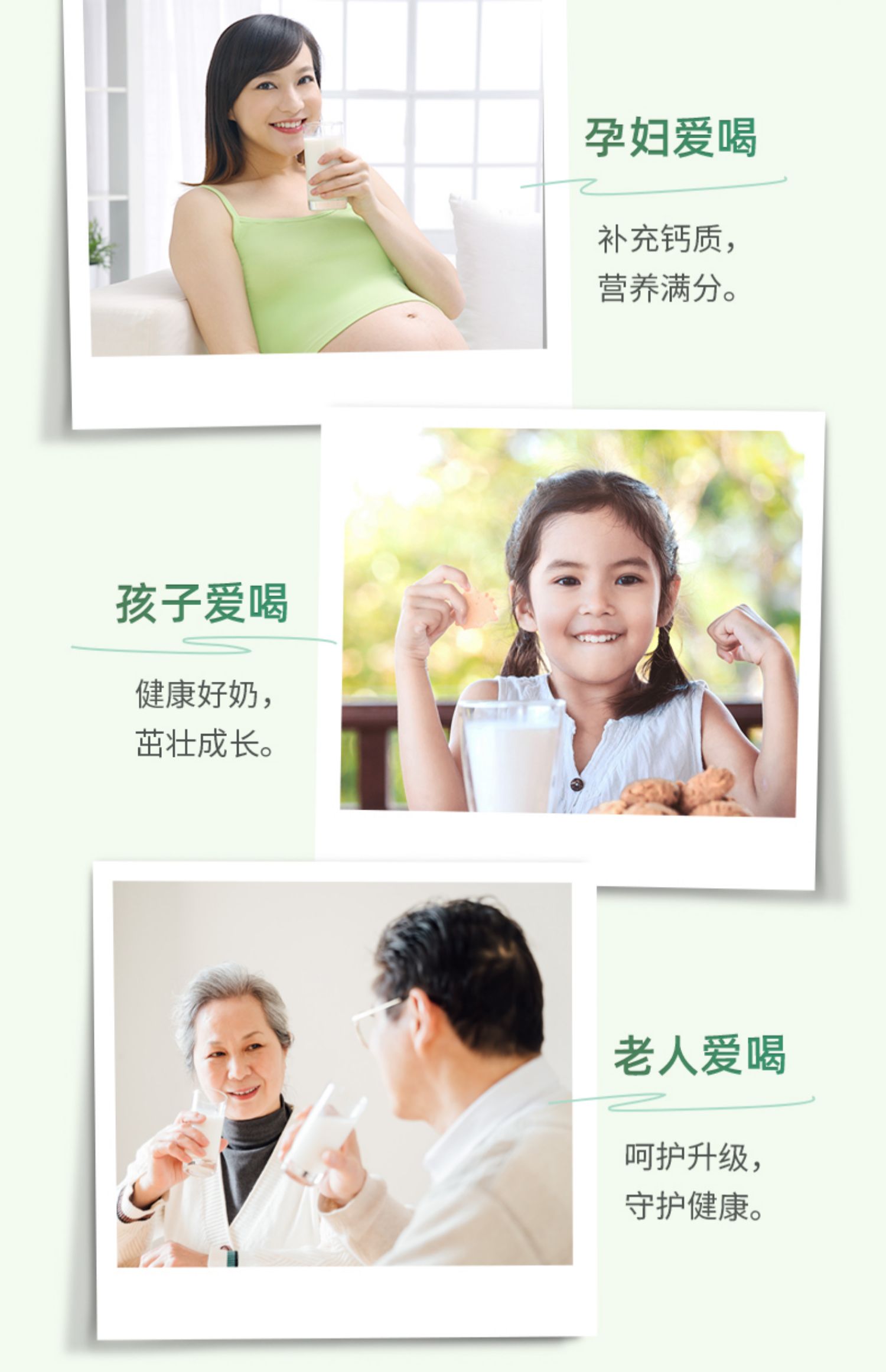 【百菲酪】高钙营养水牛纯奶20盒