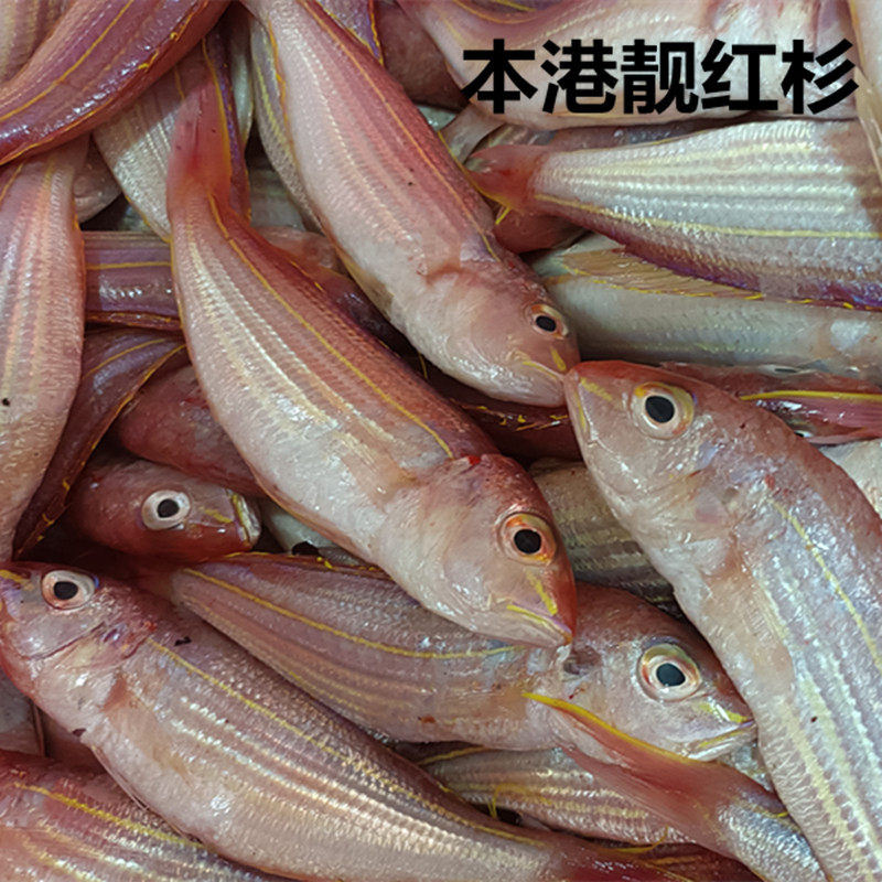 undefined-淘宝网