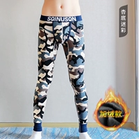 Плиты [абрикосовая очистка]