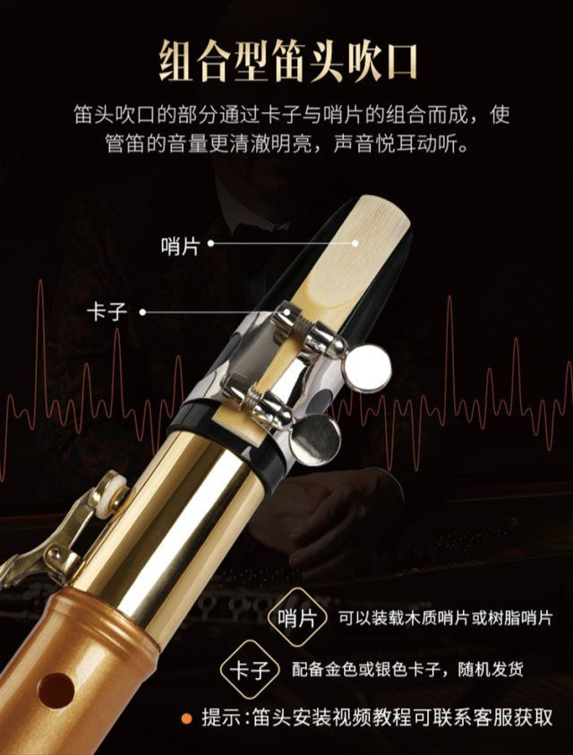 Nhạc cụ Saxophone vào dân số piano sớm dễ dàng sáo nhỏ tiếng vang thiết lập chuyên nghiệp - Nhạc cụ phương Tây đàn