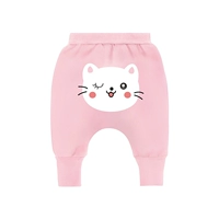 2259 Pink Cat [весна и осенняя тарелка]