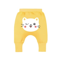 2260 Желтая кошка [Весна и осень]