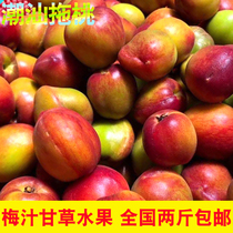 Chaoshan fresh licorice fruit plum juice fruit sweet and sour peach drag plum peach peach crispy hairy peach pregnant woman fruit 1kg