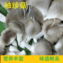 Pocket Mushroom Fresh Pleurotus Mushroom Agaricus Mushroom Ear Fresh Vegetable Hot Pot 300g