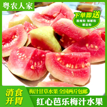 Pickled Pearl guava red heart guava plum juice Licorice Fruit Chaoshan specialty salted bark