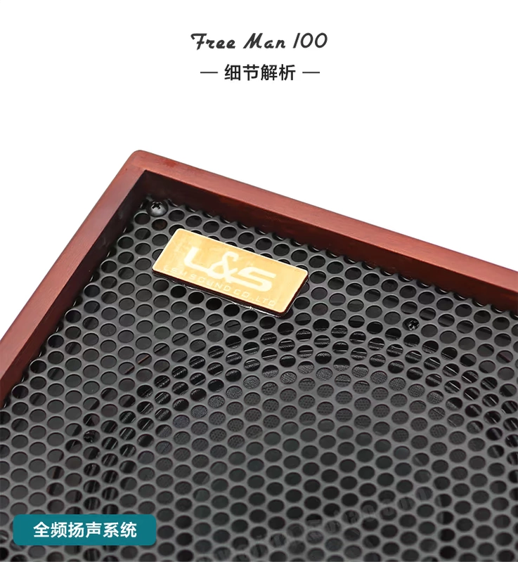 Dawei Guitar Classroom Lisheng LSM FREEMAN100 Loa Guitar Acoustic cao cấp Âm thanh kiểu ngón tay - Loa loa