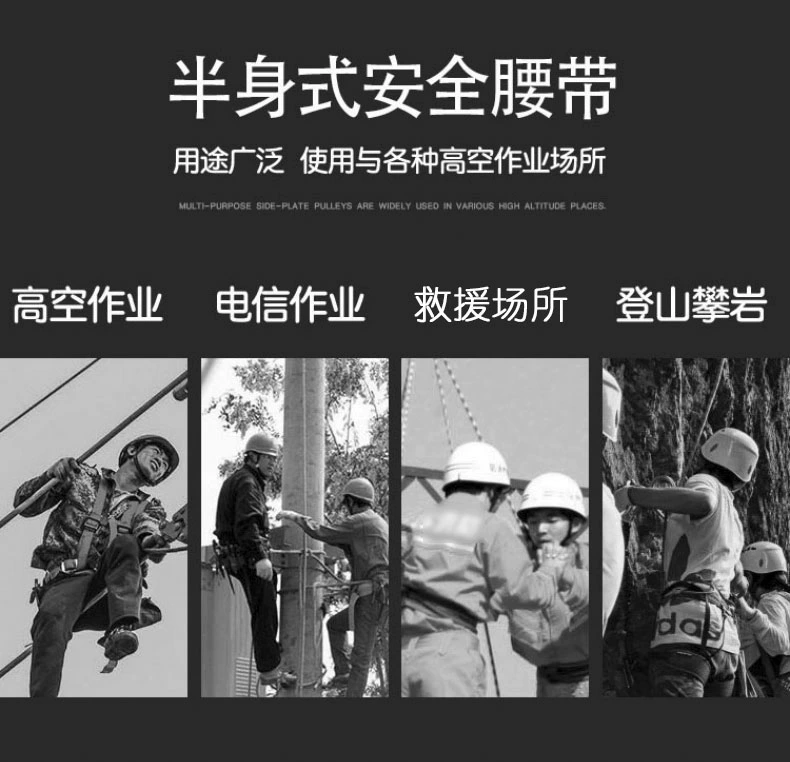 Reseo leo núi ngoài trời và leo núi Đai an toàn trẻ em dài nửa chiều dài làm việc ở độ cao đai an toàn xuống dốc thiết bị leo núi dây đai an toàn toàn thân 2 móc