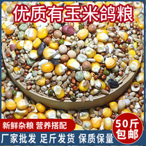 50 catties of high-quality small corn pigeon food race fly nutrition feed bird food carrier pigeon ornamental pigeon meat pigeon food pigeon food