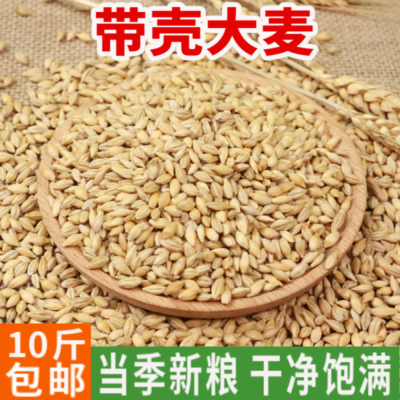 Northeast barley granules with shell wheat tea raw material brewing feeding pigeon bird food clearing feed 5kg 10 catties