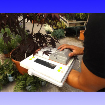 Average Area Length Width Perimeter Ratio and Shape Factor AM350 Portable Leaf Surface