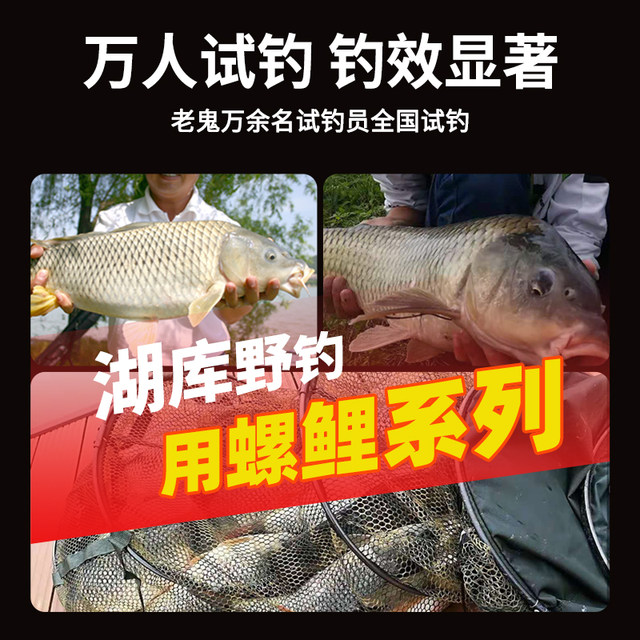 Laogui Fishing Bait Snail Carp No.1 No.2 No.3 specializes in carp fishing special bait black pit wild fishing snail meat fishing