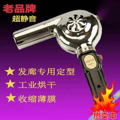 Silent ultra-silent styling hair dryer vintage stainless steel hair salon Pet home student dormitory 450W