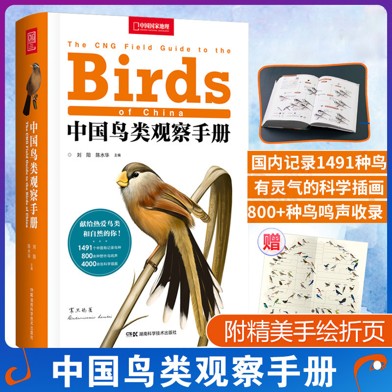 Authentic Chinese Bird Observation Manual (Softcover) - Illustrated Guide to Bird Behavior and Wildlife in China, Forest and Grassland Wild Bird Identification Guide, Wildlife Encyclopedia, Bird Watching Handbook, Comprehensive Bird Book