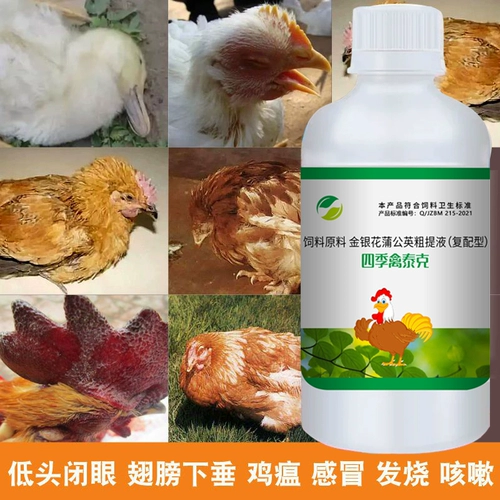 Птица против антивирусной холодной курицы и куриного особого лекарства Синкенг Эпидемическая куриная вакцина против чумы качает головой и бросает грипп из носа