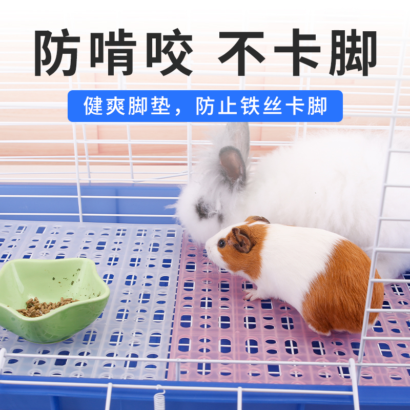 The same style floor mat in the live broadcast room