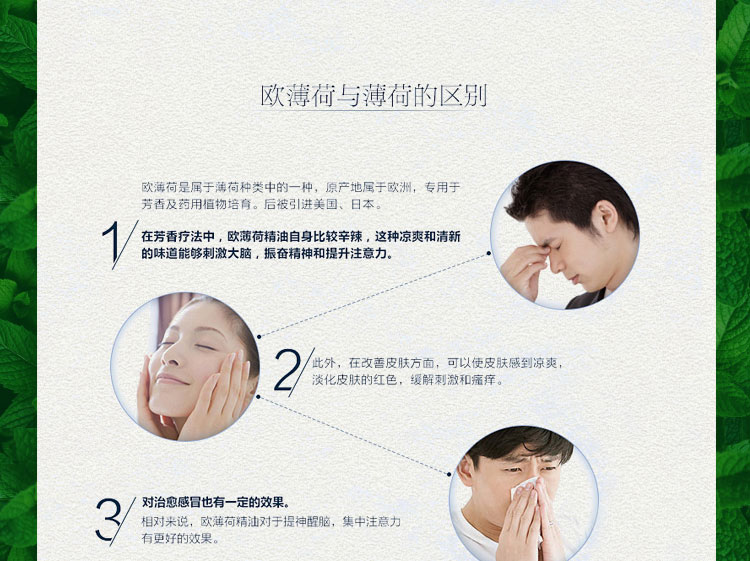 Tinh dầu bạc hà Dotray tinh dầu một mặt Dầu bạc hà Mỹ doTERRA chính thức trang web chính hãng 15ml - Tinh dầu điều trị tinh dầu cafe
