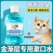 Gold gradient special cat mouthwash edible pet tooth cleaning water tooth cleaning supplies probiotic mouthwash