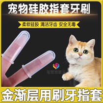 金渐层专用猫咪刷牙指套猫猫小牙刷嘴巴除臭刷牙神器小猫清洁指套