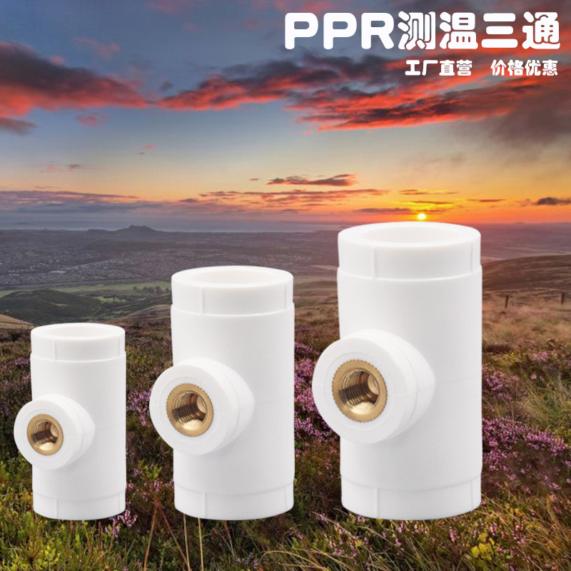 PPR water pipe hot melt temperature measurement tee 20 25 32 40 copper wire buckle pressure gauge special tee pipe fittings