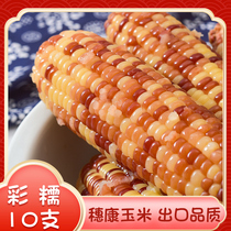 Suikang waxy lock fresh vacuum waxy corn export stick sticky corn Waxy corn Color waxy corn 10 sticks