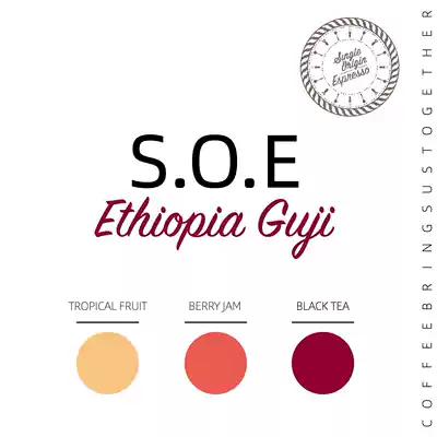 XYZ Coffee SOE Ethiopia sun-dried Googie 500g Boutique espresso coffee beans Single product extra strong