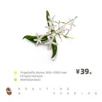  XYZ Ethiopia Yegashefivoka Washed G1 Freshly baked boutique hand-washed coffee beans