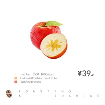  XYZ Columbia Huilan washed fresh roasted Boutique coffee beans