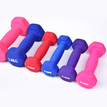 Fitness small dumbbells thin arm beauty back
