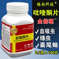 Одна бутылка таблеток Praziquantel (100 таблеток/бутылок)