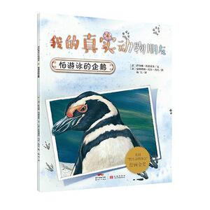 正版 怕游泳的企鹅 萨拜娜·科洛雷多文 书 少儿书籍