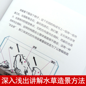 国图书店正版现货 水草造景艺术从入门到精通 王超著 深入浅出讲解水草造景制作方法领略水草艺术的魅力 鱼缸造景水草造景实用书籍