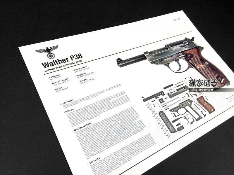 WWII German German Army Walther P38 Pistol Firearm Chart Name Gun Wall Chart Poster for Decorative Painting 