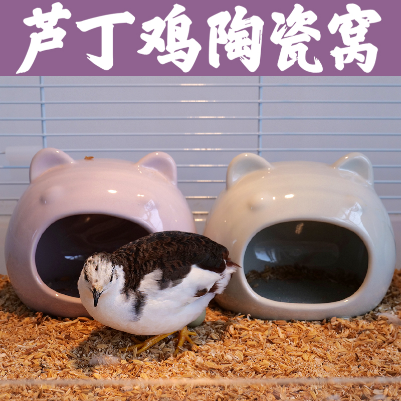 Luding Chicken Quail Nest Ceramic Shells Nest Egg Small House Pet Lodge Cooling Ice House Sleeping for Summer Supplies