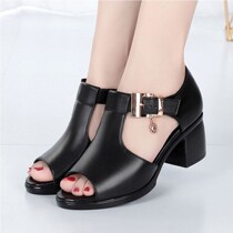 Sandals for work Fish Mouth women spring and summer new Roman womens rough-heeled shoes all-in-one