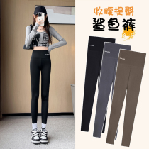 Shark Pants Woman outside wearing high waist close-up Hip Tight Fit Bottom Thickened Barbie Pants Autumn Winter Gvet Warm Cotton Pants