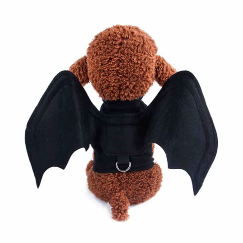 Комфортный колокольчик, домашний питомец, xэллоуин, кот