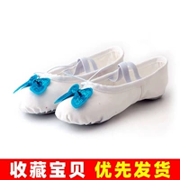 Белая синяя бабочка