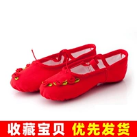 Красная маленькая роза