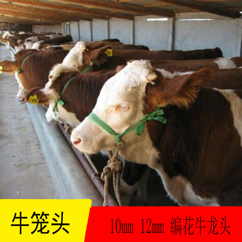 Cow halter Cow faucet Dragon sleeve Cow braided rope Collar Big cow calf universal braided rope Tie cow rope Special