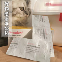 Pet Kitty Cold Fever Ankylosing Drug Cough Runny Nose runny Nora Lean Cat Nose sneezes 10 grains