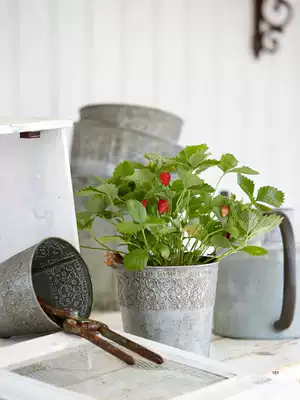 Large collection of solitary products-outdoor American country home garden gardening decoration iron flower pot green plant fleshy flower Ware