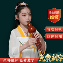 Hulusi musical instrument for beginners children in C and B flat primary school students adult professional performance flagship store