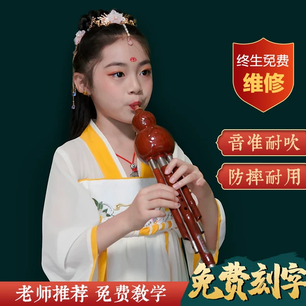 Товары от 康韵乐器旗舰店