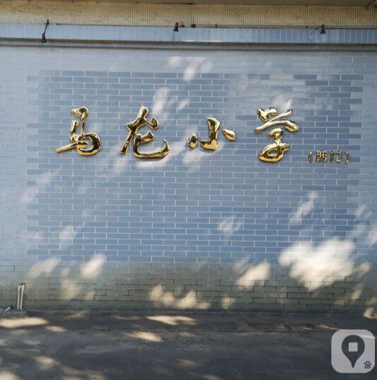 Malong Elementary School Uniforms Beijiao Elementary School Students in Shunde District